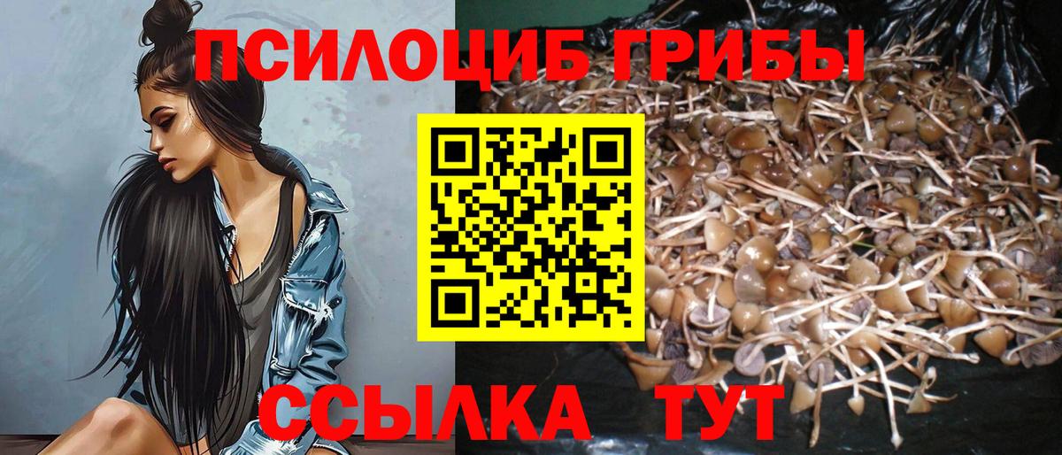 Галлюциногенные грибы Psilocybine cubensis  Вход с VPN  Борисоглебск  Псилоцибиновые грибы Cubensis 