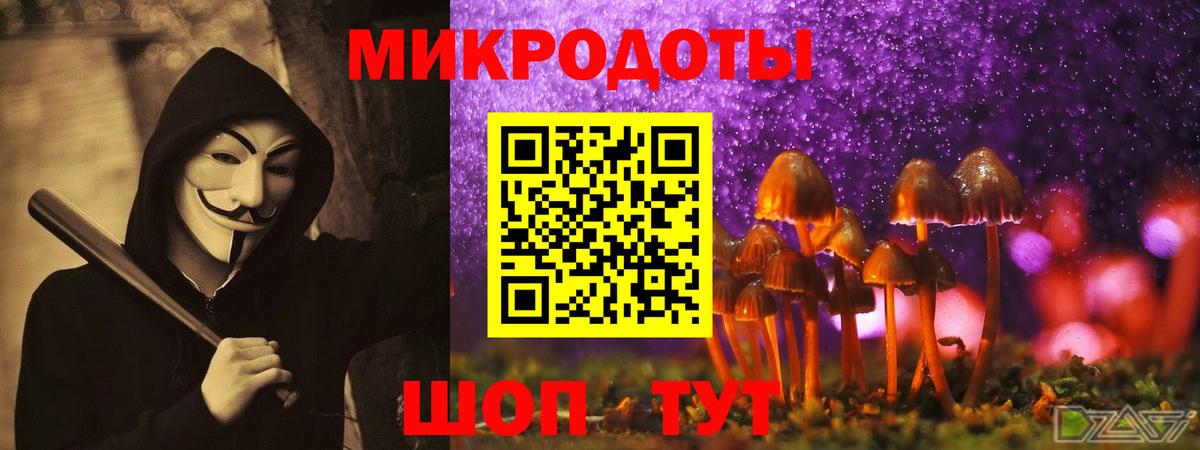 Галлюциногенные грибы Psilocybine cubensis Борисоглебск