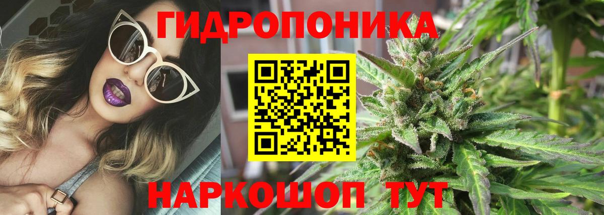 Бошки марихуана планчик Борисоглебск